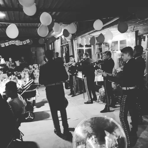 Mariachis para CDMX Mariachi recomendado CDMX